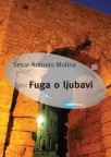 Fuga o ljubavi Fuga o ljubavi