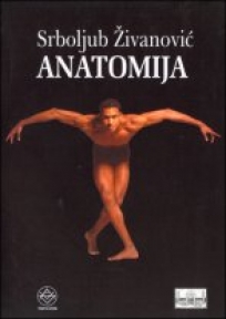 Anatomija