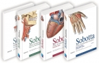 SOBOTTA - Atlas anatomije čoveka SOBOTTA - Atlas anatomije čoveka