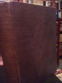 IN SEARCH OF SOUTH AFRICA