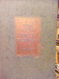 ZIVOT JE PRED NAMA- roman