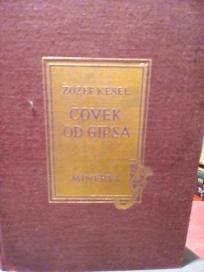 COVEK OD GIPSA - roman