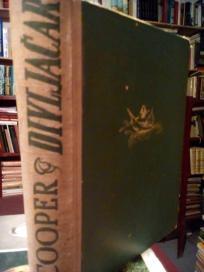 DIVLJACAR - ili Prvi ratni pohod