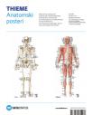 Anatomski posteri: kosti i mišići Anatomski posteri: kosti i mišići