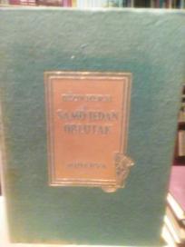 SAMO JEDAN OBLUTAK - roman