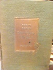 POD TUDJIM UTICAJEM - roman