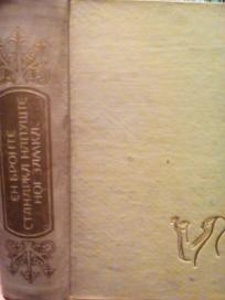 STANARKA NAPUSTENOG ZAMKA - roman