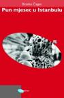 Pun mjesec u Istanbulu Pun mjesec u Istanbulu