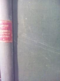 PUSTOLOVINE RODERIKA RANDOMA