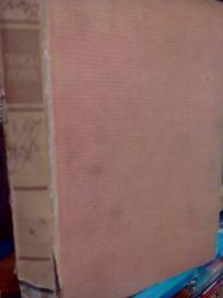 PARISKI POKOLJ - rroman