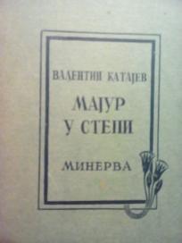 MAJUR U STEPI - roman