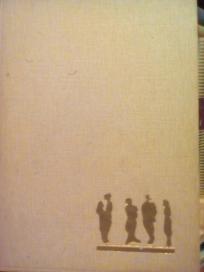 COVEK KOJI JE IMAO SVE - roman