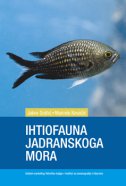 Ihtiofauna Jadranskoga mora