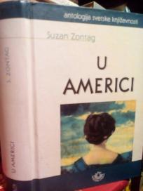 U AMERICI - roman