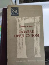 Jazavac pred sudom