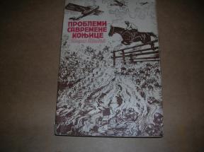 Problemi savremene konjice