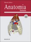 Anatomia humana Anatomia humana