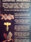 PRIRODA - ilustrovana enciklopedija