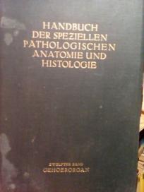 HANDBUCH DER SPEZIELLEN PATHOLOGISCHEN ANATOMIE UND HISTOLOGIE GEHOERORGAN