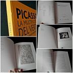 PICASSO la multiplicidad del vertice obra grafica