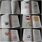 TAJNE LJUDI U BELOM - zapisi jednog patologa