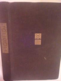 SNOVI O RUZAMA I OGNJU - roman