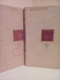 IZGUBLJENA DEVOJKA I-II