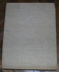 Inostranstvo i nova Jugoslavija 1941 - 1945