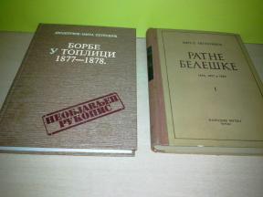 RATNE BELEŠKE 1876,1877,1878 , Dimitrije-Mita Petrović,Borbe u TOPLICI