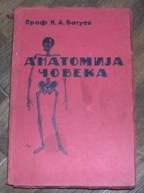 Anatomija čoveka