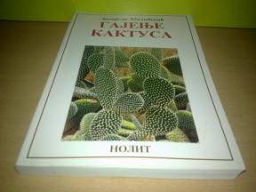 GAJENJE KAKTUSA Danijela Milićević