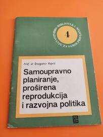 Samoupravno planiranje i razvojna politika