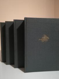 TIHI DON I-IV - roman