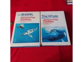 Podmorska otkrića Žaka Iva Kustoa - Ajkula - Kit