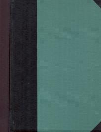 Rečnik srpskohrvatskog književnog i narodnog jezika tom 20