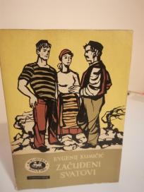 ZACUDJENI SVATOVI- roman