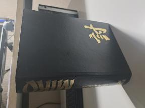 MIKO - ERIK VAN LUSTBADER 