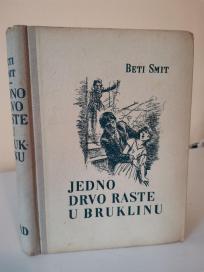 JEDNO DRVO RASTE U BRUKLINU - roman
