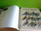PTICE SRBIJE Sa kartama distribucija Javor Rašajski