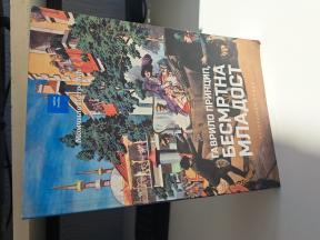 Gavrilo Princip, besmrtna mladost - Momčilo Petrović