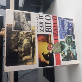 Zar je bilo uzalud - Milivoje Miletić 