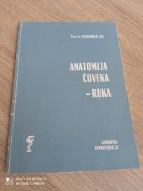Anatomija čoveka ruka