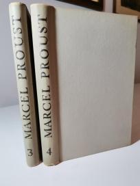 U SJENI PROCVALIH DJEVOJAKA I-II (3,4)