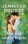 Sve me vodilo k tebi Sve me vodilo k tebi