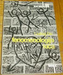 FENOMENOLOGIJA KIČA