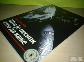 ŠTA JE PESNIK HTEO DA KAŽE Bora Đorđević ,novo➡️ ➡️