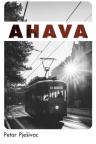 Ahava Ahava