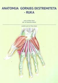 Anatomija gornjeg ekstremiteta : ruka