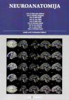 Neuroanatomija Neuroanatomija