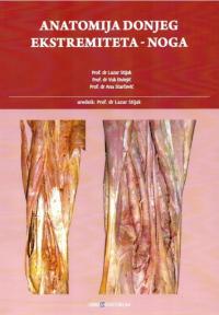 Anatomija donjeg ekstremiteta - noga